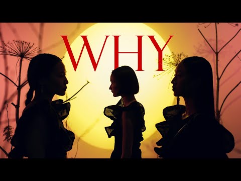 FWLX & Sukoshi - WHY (Official Music Video)