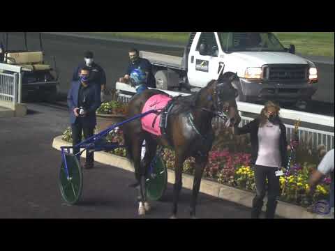 Ramona Hill & Andrew McCarthy wins 1st elim. to Hambletonian no. 95 in 1.51,2 at The Meadowlands