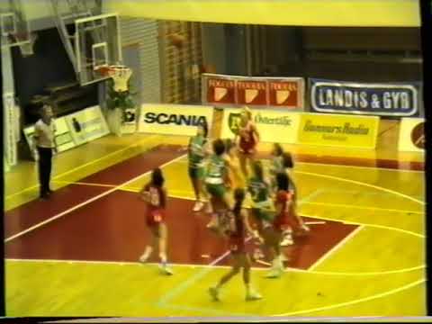 SBBK DS - Arvika Allsvenskan SM-final 1989