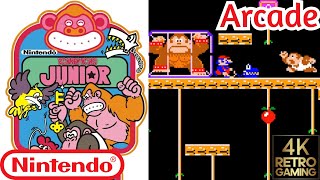 Donkey Kong Jr. Arcade ( Nintendo 1982 ) 4k Gameplay