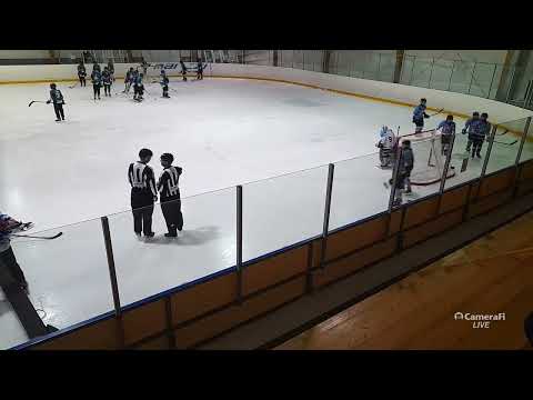 2024.02.03 - U14 Szolnok Orcas - White Sharks