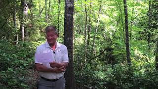 Lake Keowee Real Estate Expert Video Update June 2025 Mike Matt Roach