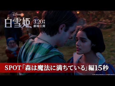 SPOT「森は魔法に満ちている」編15秒