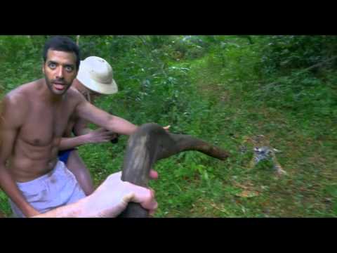 Babysitting 2 / Extrait "La Panthère" [Au cinéma le 2 décembre 2015]