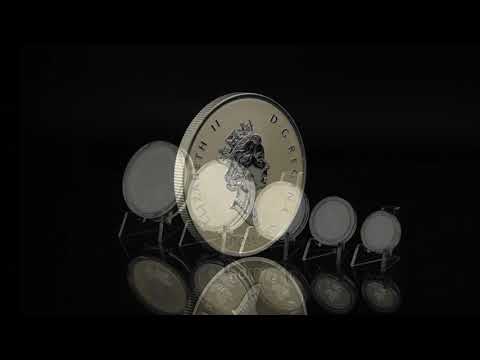 SILVER MAPLE LEAF FRACTIONAL SET 2022