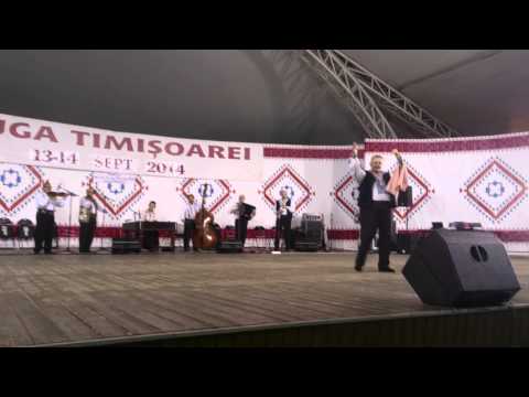 Petrica Moise - Ruga Timisoara, 2014, partea 3