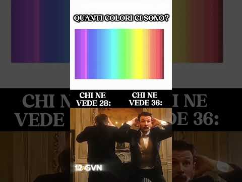 Chi ne vede 67☠️ #humor #viral #shorts #memes #funny #catmemes