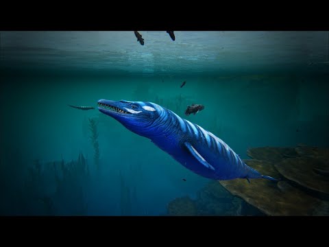 Taming a X-Basilosaurus
