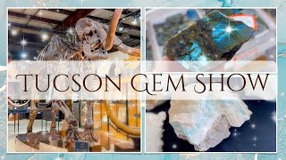 【天然石】ツーソンジェム&ミネラルショー2025 ① | The Rock Yard | The Co-op Mineral & Fossil Galleries