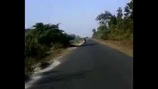 preview picture of video 'NJP to Tista barrage-2'