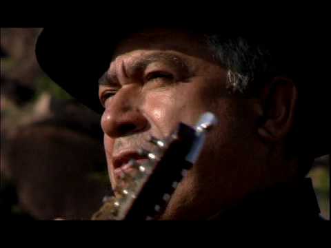 Abelha E Pardal - Edvaldo Santana