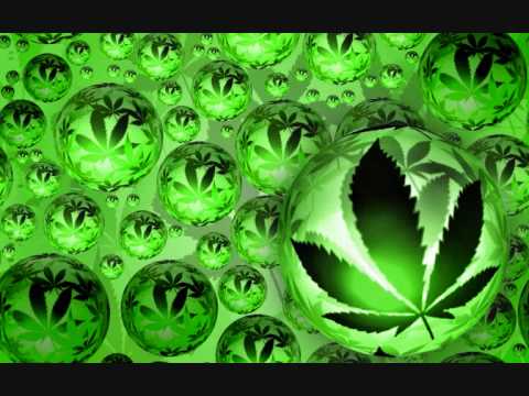 Kussondulola - Legalizem a bula