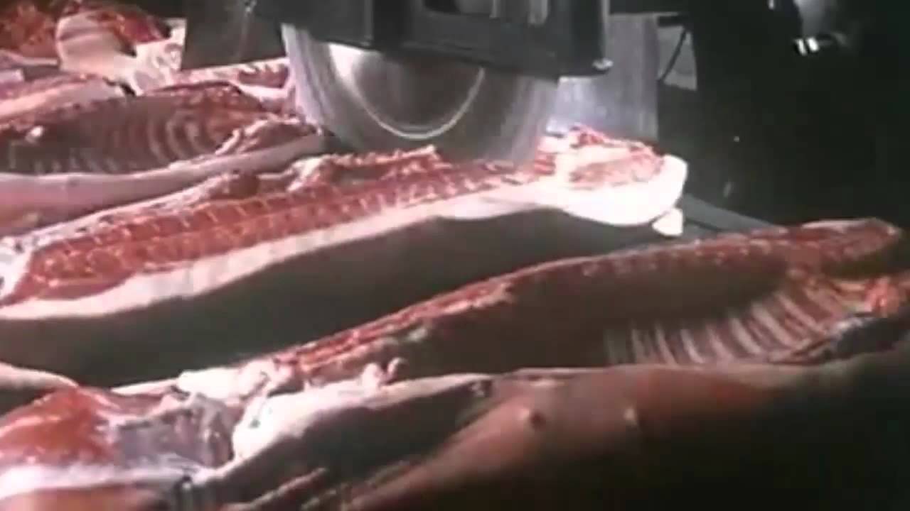 Meat, Machines, Music, More Meat