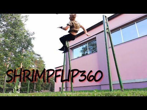 Shrimpflip360 Progression || Street Workout