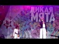 Дикая Мята 2015 Алексин (выступление Мельница) 