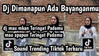 Download lagu DJ DIMANAPUN ADA BAYANGANMU DJ MAU MAKAN TERINGAT PADAMU MAU APAPUN TERINGAT PADAMU SON VIRAL TIKTOK mp3