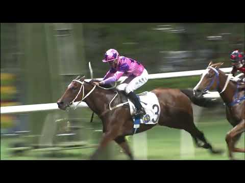 29/6/2022 (785) You'remyeverything - Vincent Ho