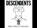 Descendents - I Wanna Be a Bear