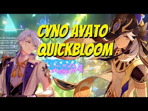 CYNO AYATO QUICKBLOOM? Cyno Aggravate Hyperbloom Team