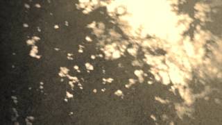 Tara Jane O'Neil - "Wordless In Woods" (Official Video)