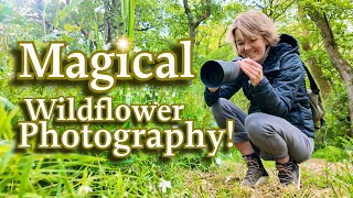 Wild Flower Wonderland – A Macro Photography Journey Through the Forest