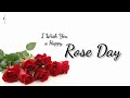 Rose Day Special Happy Rose Day February Special Status Valentines Day Special Preton Felix