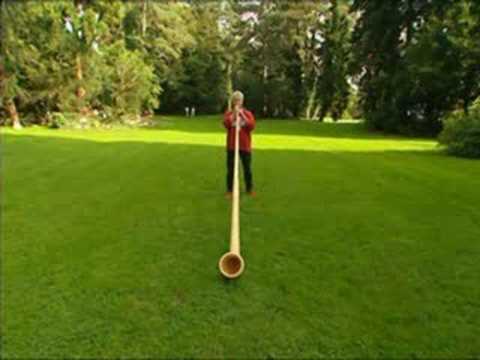 10 Musical instrument you may have never heard