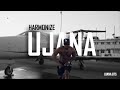 Harmonize Ujana Behind The Scene