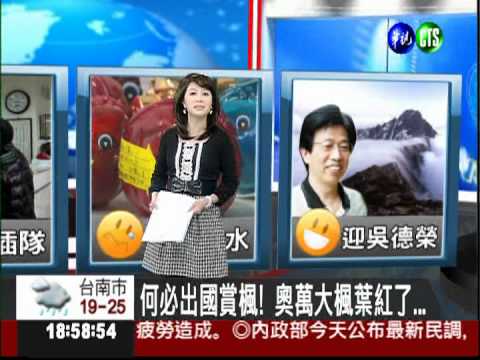 連續低溫 奧萬大楓葉紅了...