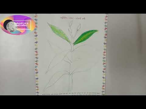 Natural Leaves | Colour on leave