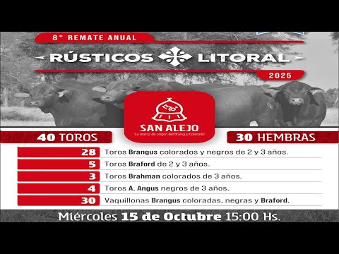 8º REMATE ANUAL CABAÑA SAN ALEJO DESDE LA CRUZ CORRIENTES