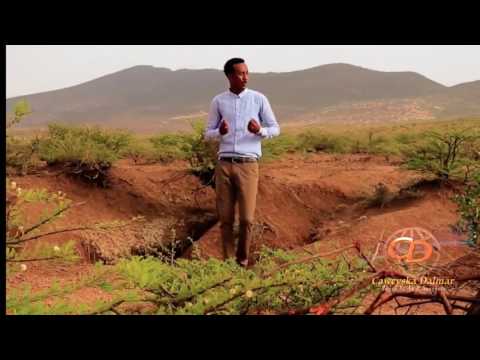 *Xariir Axmed | Xamda |  2017