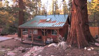 Big Bear Cabins - Pet Friendly Cabin Rentals - Big Bear, CA