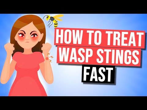 , title : 'How To Treat Wasp Sting | 7 Best Ways'