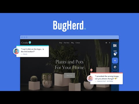 BugHerd: Visual Feedback Tool for Websites
