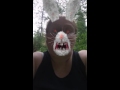Demon Bunny