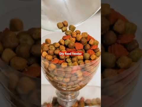satisfying diy | cat feeder made of bottle  #ytshorts #shortvideo #trend #viral