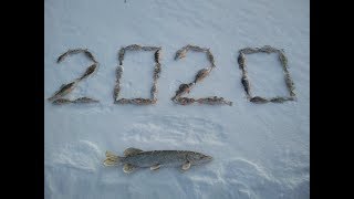 Отчет о рыбалке в палашкино 2020г