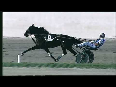 Napoli Trotto 21/10/2022 - 7ª corsa