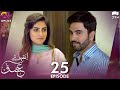 Inteha e Ishq -EP 25 | Hiba Bukhari & Junaid Khan | Presented By NISA Cosmetics & NineLeaves | C3B1O