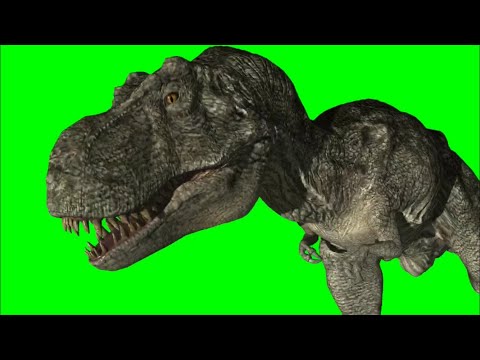 Green Screen T-Rex 4 / T-Rex running / walking in place Video