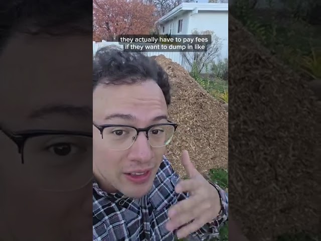 Just Pappas reviews ChipDrop thumbnail