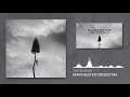 Manchester Orchestra  - The Silence (album version)