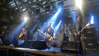 Dropkick Murphys - My Hero live Mexico 2014