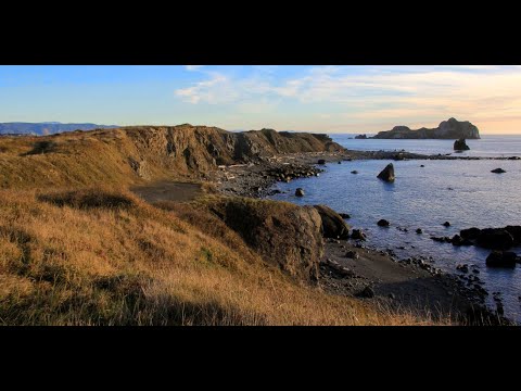 Dryad Flutes ~ Big Leaf Maple Driftwood Branch Flute in Am