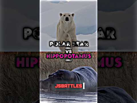 Polar Bear vs Hippopotamus