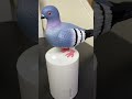 Amazon Finds Gadgets Kitchen Shop Shopping Hack Are Home House Decor Have Viral Reels