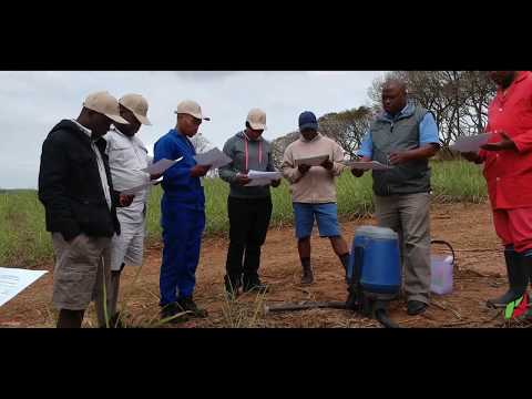 Kynoch Fertilizer Training and information Day