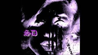 Rara - PYT Prettyyung Thot (SD) Slowed Down