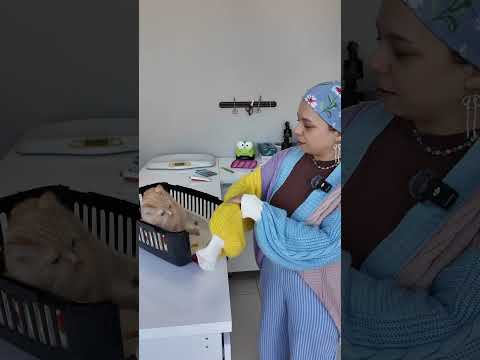 Sinir küpçüğü 😅